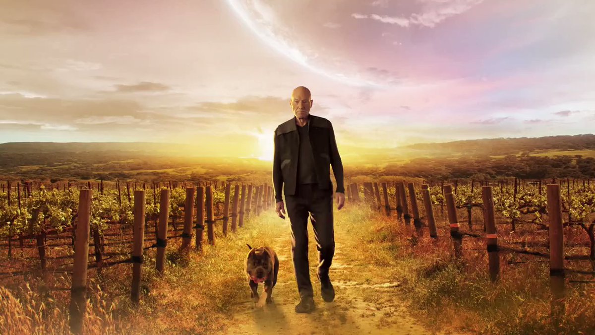StarTrek_Picard_PostersAndMarketing_0005.jpg