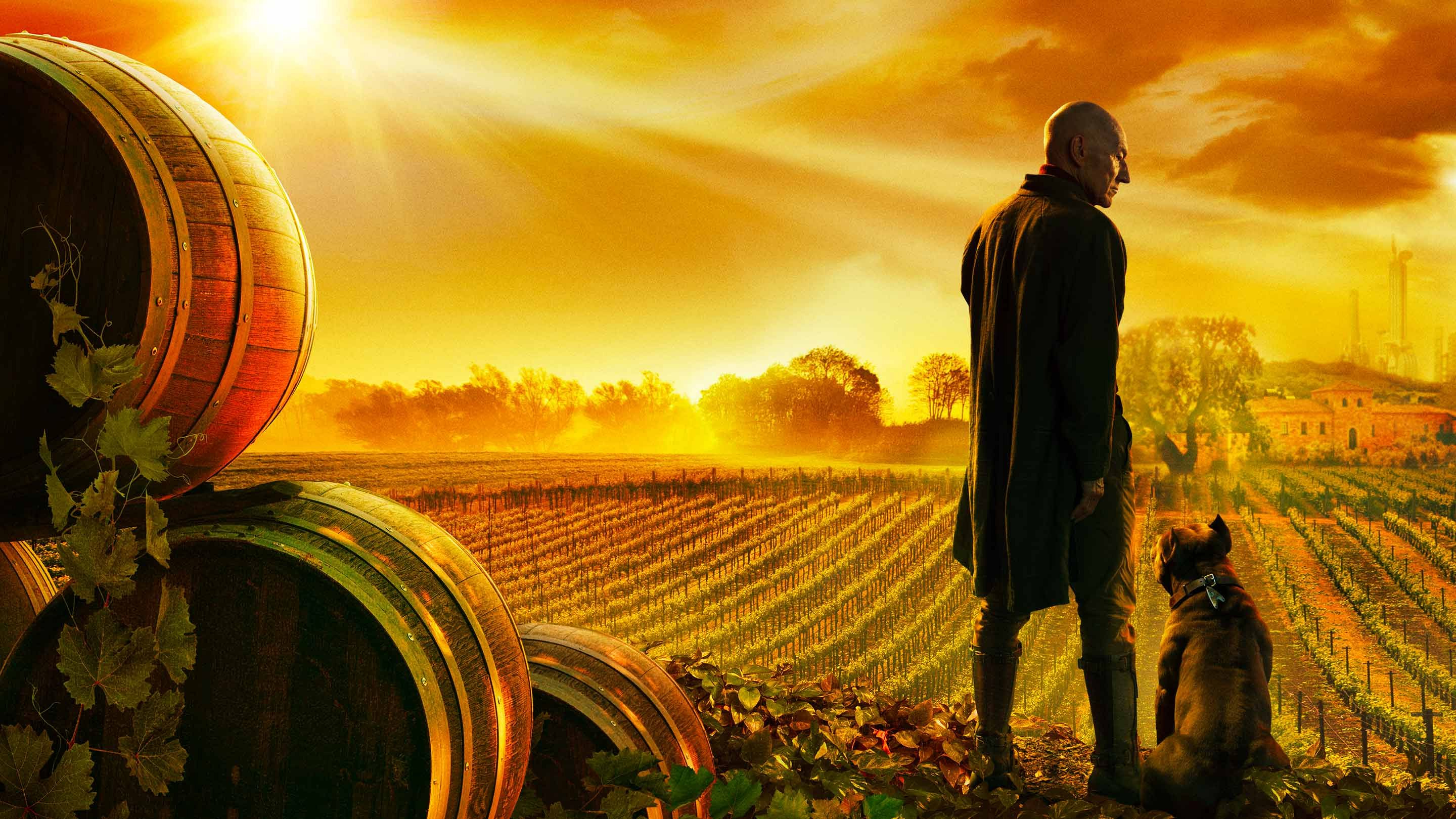 StarTrek_Picard_PostersAndMarketing_0014.jpg