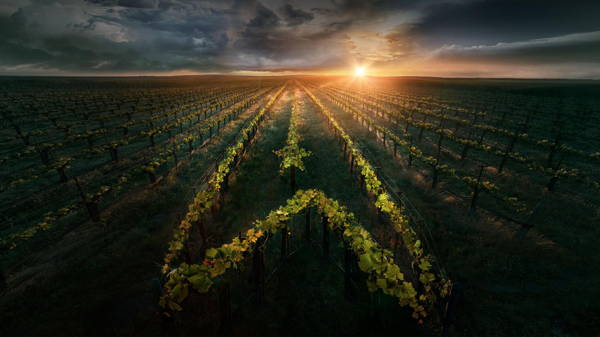 StarTrek_Picard_PostersAndMarketing_0020.jpg