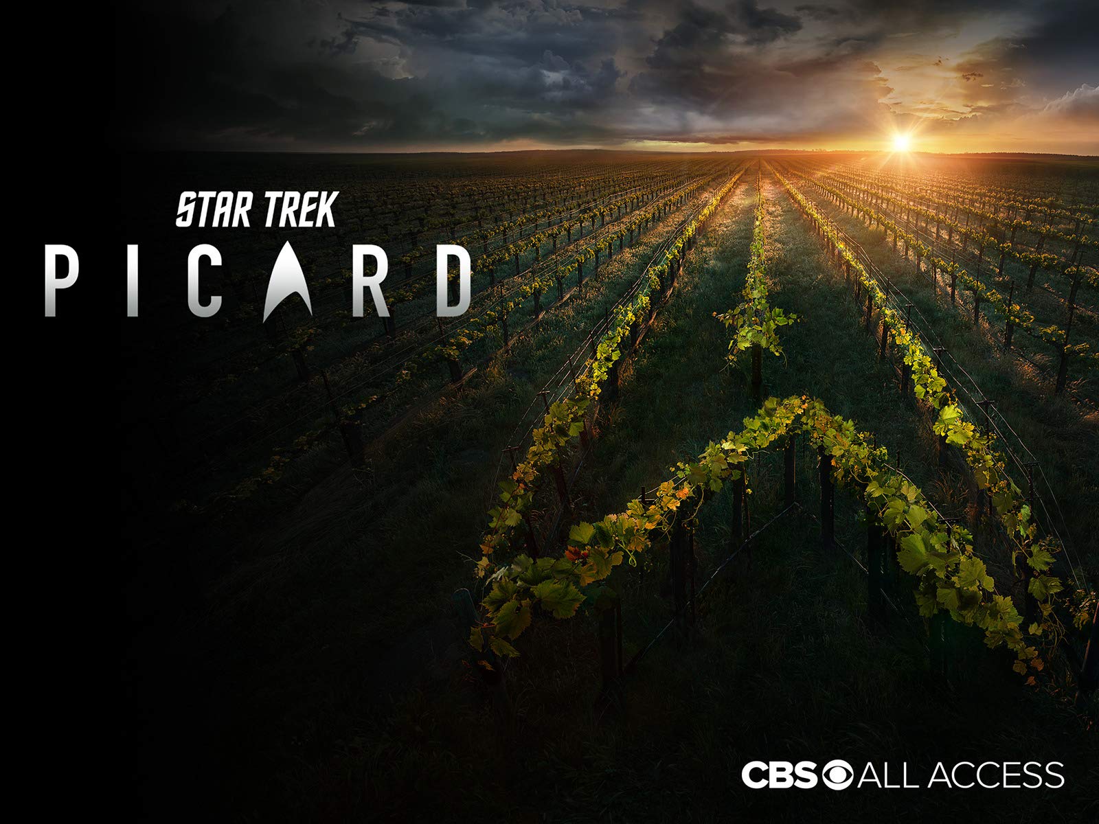 StarTrek_Picard_PostersAndMarketing_0021.jpg