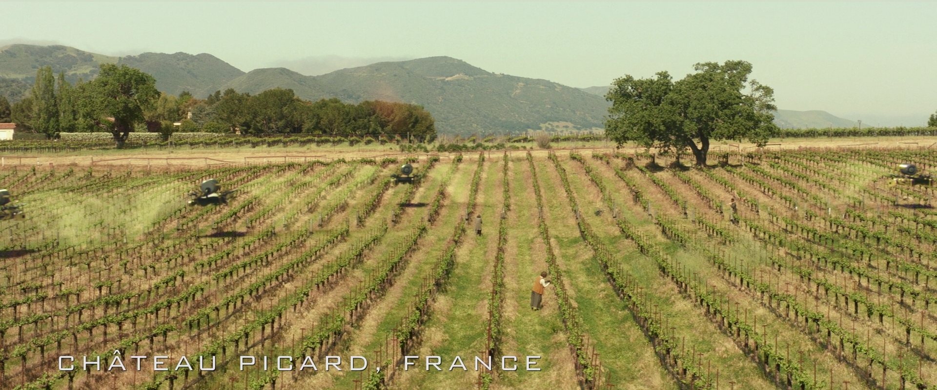 extant_StarTrek_PIC_1x01-Remembrance_0434.jpg