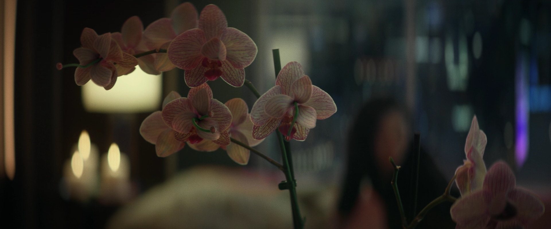 extant_StarTrek_PIC_1x01-Remembrance_0560.jpg