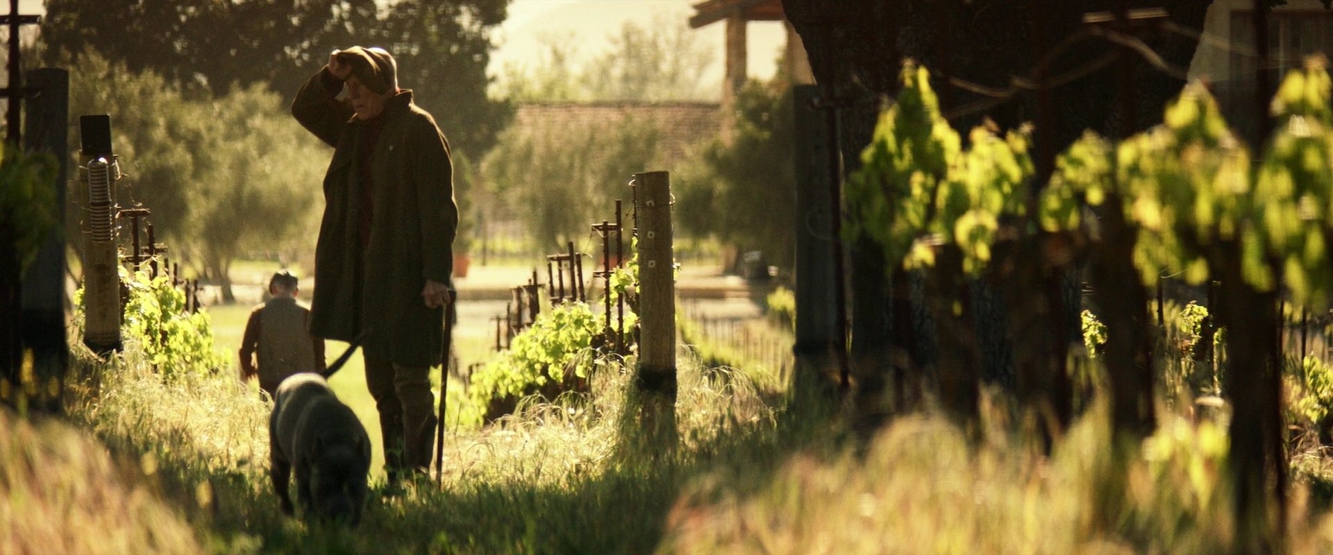 extant_StarTrek_PIC_1x01-Remembrance_1002.jpg