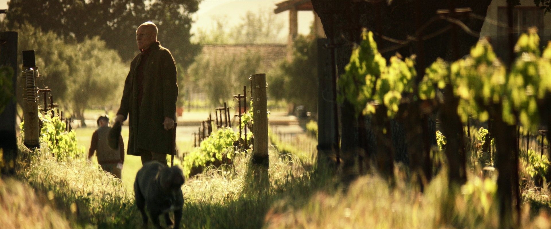 extant_StarTrek_PIC_1x01-Remembrance_1004.jpg