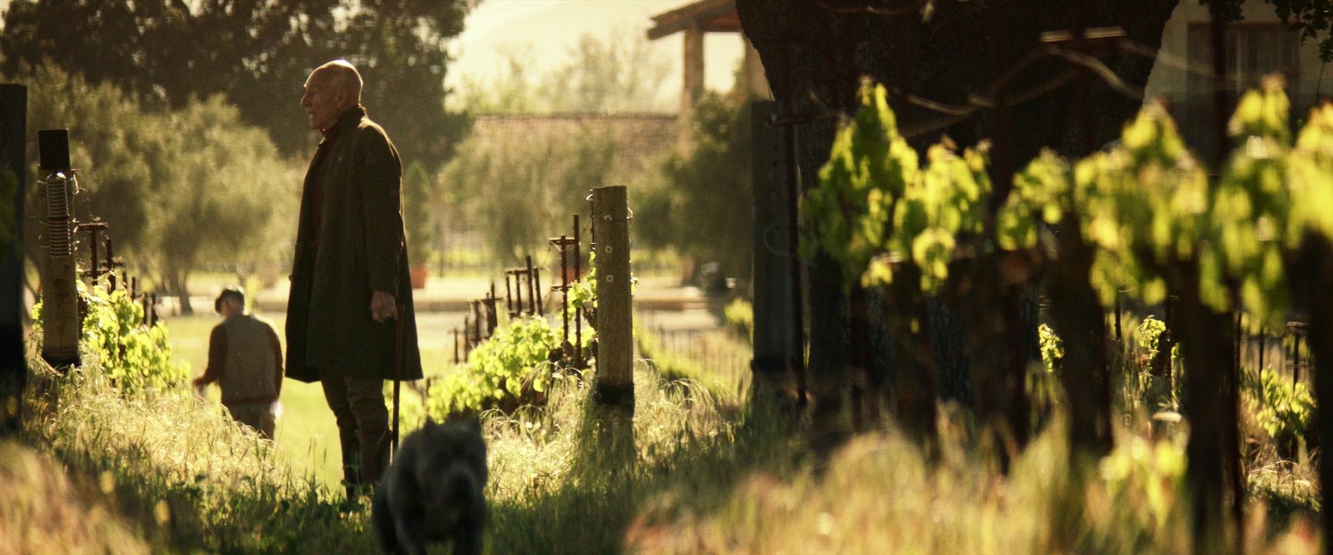 extant_StarTrek_PIC_1x01-Remembrance_1005.jpg