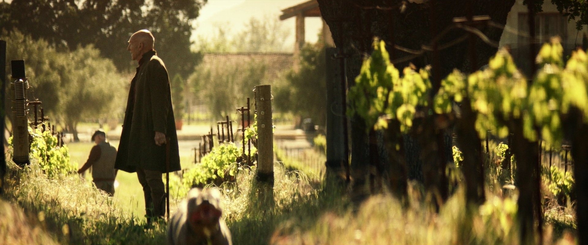 extant_StarTrek_PIC_1x01-Remembrance_1006.jpg
