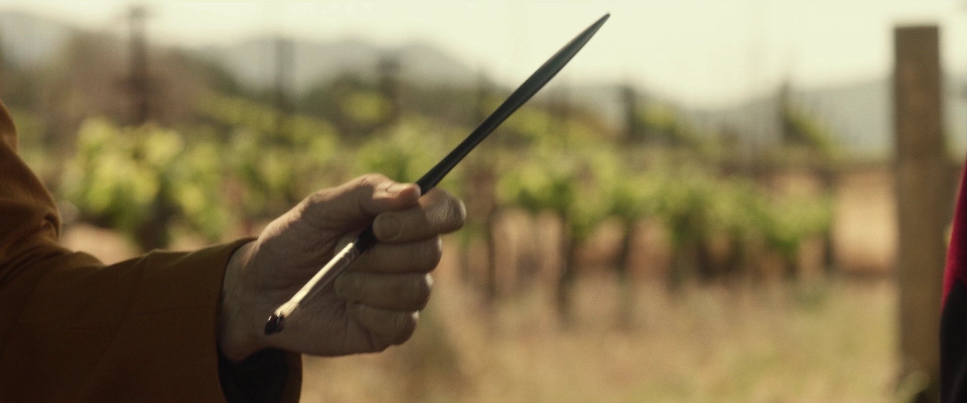 extant_StarTrek_PIC_1x01-Remembrance_2586.jpg