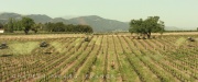 Filename=extant_StarTrek_PIC_1x01-Remembrance_0430.jpg
Filesize=336KiB
Dimensions=1920x800
Date added=Jan 24, 2020 extant_StarTrek_PIC_1x01-Remembrance_0430.jpg