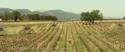 Filename=extant_StarTrek_PIC_1x01-Remembrance_0431.jpg
Filesize=333KiB
Dimensions=1920x800
Date added=Jan 24, 2020 extant_StarTrek_PIC_1x01-Remembrance_0431.jpg