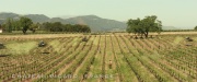 Filename=extant_StarTrek_PIC_1x01-Remembrance_0432.jpg
Filesize=333KiB
Dimensions=1920x800
Date added=Jan 24, 2020 extant_StarTrek_PIC_1x01-Remembrance_0432.jpg