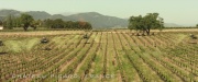 Filename=extant_StarTrek_PIC_1x01-Remembrance_0434.jpg
Filesize=343KiB
Dimensions=1920x800
Date added=Jan 24, 2020 extant_StarTrek_PIC_1x01-Remembrance_0434.jpg