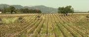 Filename=extant_StarTrek_PIC_1x01-Remembrance_0435.jpg
Filesize=344KiB
Dimensions=1920x800
Date added=Jan 24, 2020 extant_StarTrek_PIC_1x01-Remembrance_0435.jpg