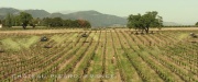 Filename=extant_StarTrek_PIC_1x01-Remembrance_0436.jpg
Filesize=351KiB
Dimensions=1920x800
Date added=Jan 24, 2020 extant_StarTrek_PIC_1x01-Remembrance_0436.jpg