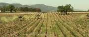 Filename=extant_StarTrek_PIC_1x01-Remembrance_0437.jpg
Filesize=356KiB
Dimensions=1920x800
Date added=Jan 24, 2020 extant_StarTrek_PIC_1x01-Remembrance_0437.jpg