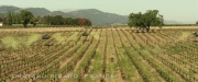 Filename=extant_StarTrek_PIC_1x01-Remembrance_0438.jpg
Filesize=360KiB
Dimensions=1920x800
Date added=Jan 24, 2020 extant_StarTrek_PIC_1x01-Remembrance_0438.jpg