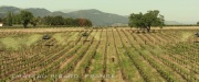 Filename=extant_StarTrek_PIC_1x01-Remembrance_0439.jpg
Filesize=360KiB
Dimensions=1920x800
Date added=Jan 24, 2020 extant_StarTrek_PIC_1x01-Remembrance_0439.jpg