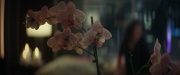 Filename=extant_StarTrek_PIC_1x01-Remembrance_0561.jpg
Filesize=117KiB
Dimensions=1920x800
Date added=Jan 24, 2020 extant_StarTrek_PIC_1x01-Remembrance_0561.jpg
