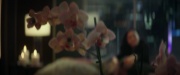 Filename=extant_StarTrek_PIC_1x01-Remembrance_0562.jpg
Filesize=107KiB
Dimensions=1920x800
Date added=Jan 24, 2020 extant_StarTrek_PIC_1x01-Remembrance_0562.jpg
