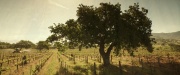Filename=extant_StarTrek_PIC_1x01-Remembrance_0983.jpg
Filesize=295KiB
Dimensions=1920x800
Date added=Jan 24, 2020 extant_StarTrek_PIC_1x01-Remembrance_0983.jpg