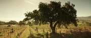 Filename=extant_StarTrek_PIC_1x01-Remembrance_0984.jpg
Filesize=297KiB
Dimensions=1920x800
Date added=Jan 24, 2020 extant_StarTrek_PIC_1x01-Remembrance_0984.jpg