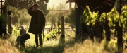 Filename=extant_StarTrek_PIC_1x01-Remembrance_0999.jpg
Filesize=242KiB
Dimensions=1920x800
Date added=Jan 24, 2020 extant_StarTrek_PIC_1x01-Remembrance_0999.jpg