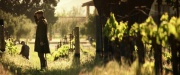 Filename=extant_StarTrek_PIC_1x01-Remembrance_1009.jpg
Filesize=257KiB
Dimensions=1920x800
Date added=Jan 24, 2020 extant_StarTrek_PIC_1x01-Remembrance_1009.jpg