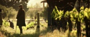 extant_StarTrek_PIC_1x01-Remembrance_1012.jpg