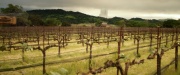 Filename=extant_StarTrek_PIC_1x01-Remembrance_1852.jpg
Filesize=249KiB
Dimensions=1920x800
Date added=Jan 24, 2020 extant_StarTrek_PIC_1x01-Remembrance_1852.jpg