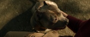 Filename=extant_StarTrek_PIC_1x01-Remembrance_1884.jpg
Filesize=157KiB
Dimensions=1920x800
Date added=Jan 24, 2020 extant_StarTrek_PIC_1x01-Remembrance_1884.jpg