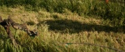 extant_StarTrek_PIC_1x01-Remembrance_2520.jpg