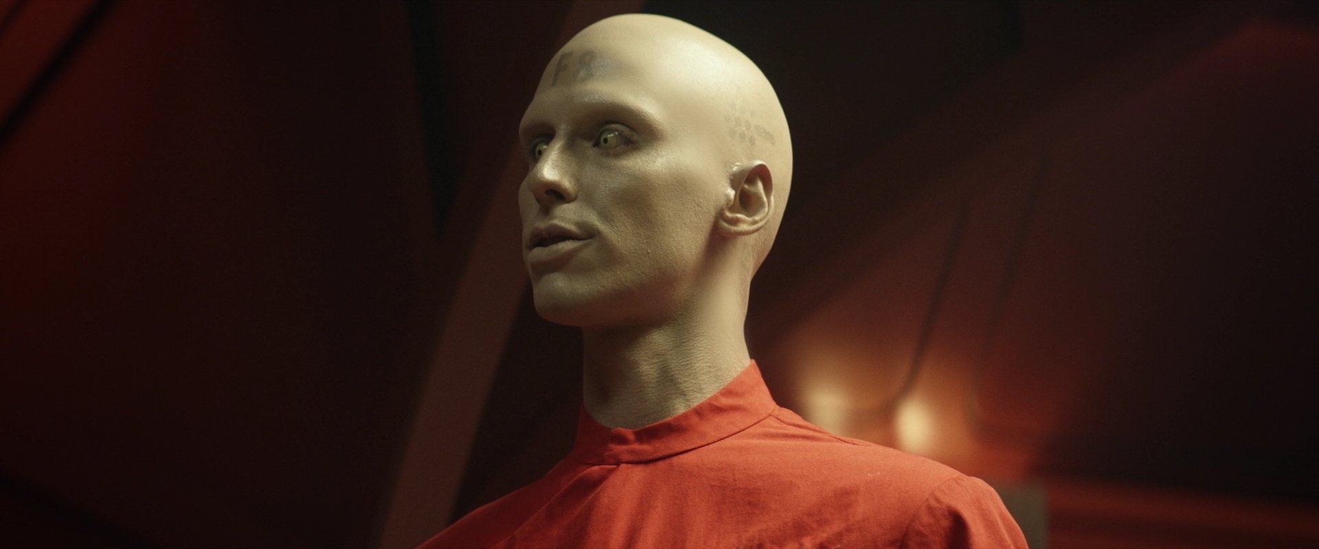 extant_StarTrek_PIC_1x02-MapsAndLegends_0345.jpg