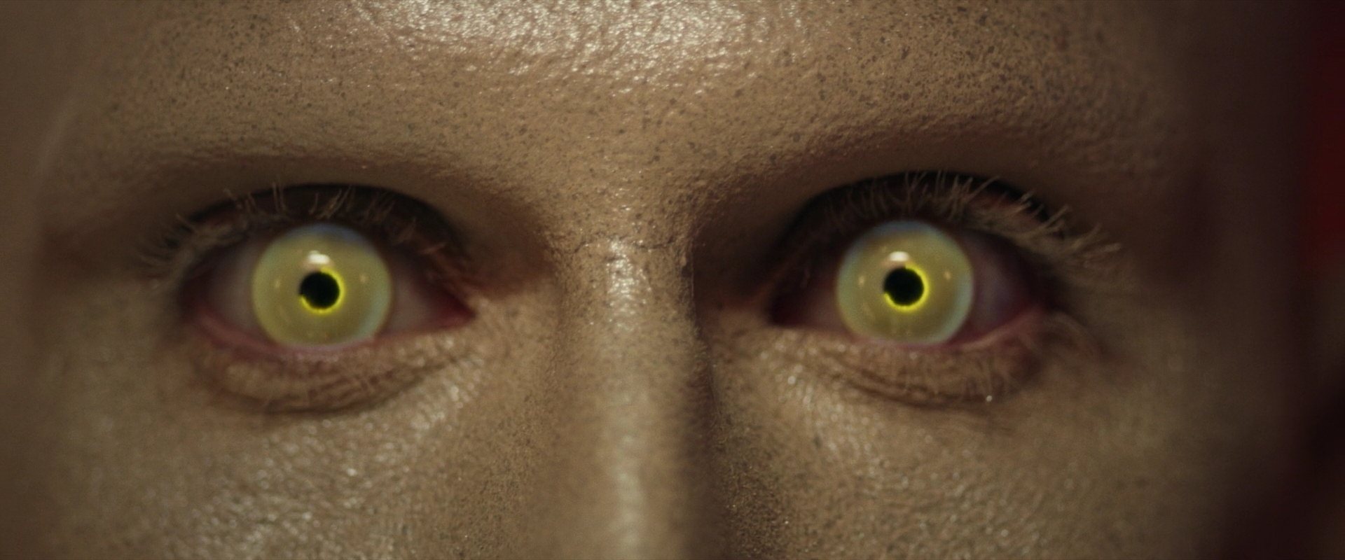 extant_StarTrek_PIC_1x02-MapsAndLegends_0444.jpg