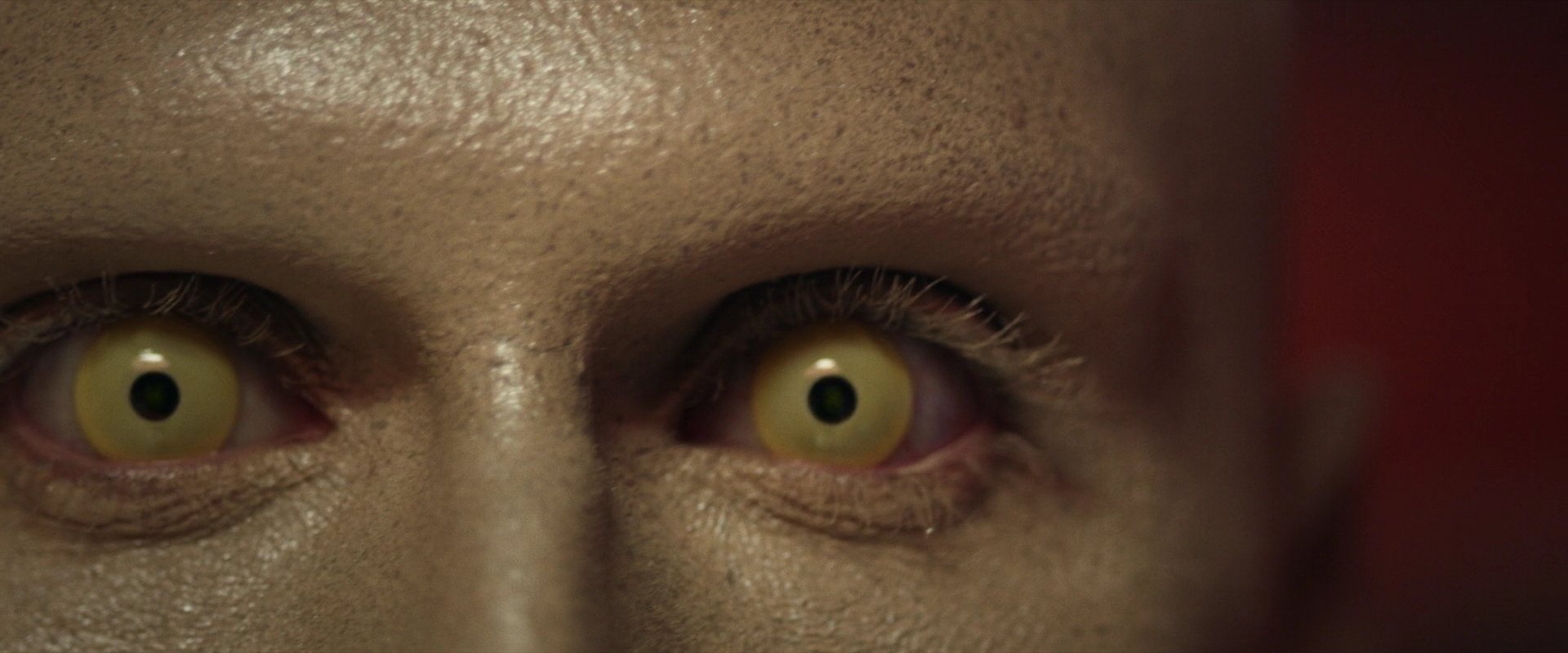 extant_StarTrek_PIC_1x02-MapsAndLegends_0445.jpg