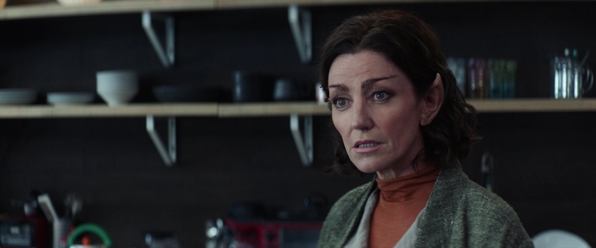 extant_StarTrek_PIC_1x02-MapsAndLegends_1019.jpg