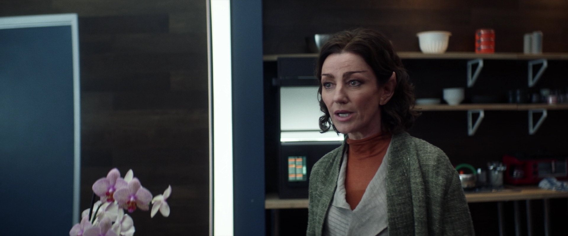 extant_StarTrek_PIC_1x02-MapsAndLegends_1164.jpg