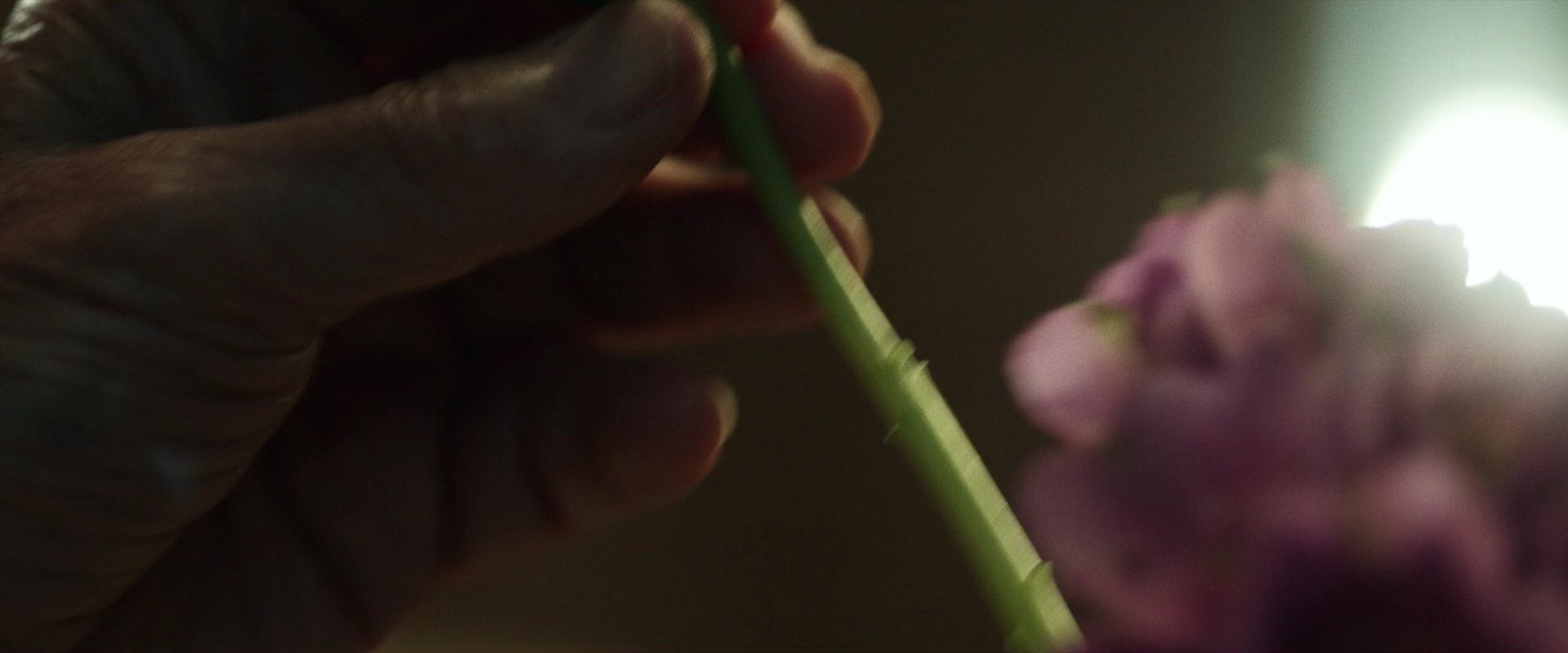 extant_StarTrek_PIC_1x02-MapsAndLegends_1918.jpg