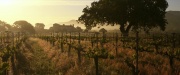 extant_StarTrek_PIC_1x02-MapsAndLegends_0791.jpg