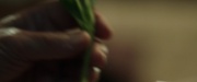 Filename=extant_StarTrek_PIC_1x02-MapsAndLegends_1916.jpg
Filesize=104KiB
Dimensions=1920x800
Date added=Jan 30, 2020 extant_StarTrek_PIC_1x02-MapsAndLegends_1916.jpg