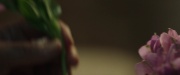 Filename=extant_StarTrek_PIC_1x02-MapsAndLegends_1917.jpg
Filesize=97KiB
Dimensions=1920x800
Date added=Jan 30, 2020 extant_StarTrek_PIC_1x02-MapsAndLegends_1917.jpg