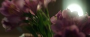 Filename=extant_StarTrek_PIC_1x02-MapsAndLegends_1920.jpg
Filesize=124KiB
Dimensions=1920x800
Date added=Jan 30, 2020 extant_StarTrek_PIC_1x02-MapsAndLegends_1920.jpg