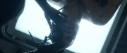 Filename=extant_StarTrek_PIC_1x02-MapsAndLegends_3515.jpg
Filesize=111KiB
Dimensions=1920x800
Date added=Jan 30, 2020 extant_StarTrek_PIC_1x02-MapsAndLegends_3515.jpg