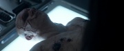 Filename=extant_StarTrek_PIC_1x02-MapsAndLegends_3554.jpg
Filesize=108KiB
Dimensions=1920x800
Date added=Jan 30, 2020 extant_StarTrek_PIC_1x02-MapsAndLegends_3554.jpg