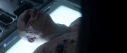 Filename=extant_StarTrek_PIC_1x02-MapsAndLegends_3555.jpg
Filesize=100KiB
Dimensions=1920x800
Date added=Jan 30, 2020 extant_StarTrek_PIC_1x02-MapsAndLegends_3555.jpg