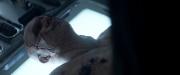 Filename=extant_StarTrek_PIC_1x02-MapsAndLegends_3556.jpg
Filesize=100KiB
Dimensions=1920x800
Date added=Jan 30, 2020 extant_StarTrek_PIC_1x02-MapsAndLegends_3556.jpg