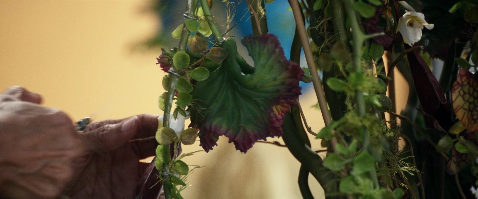 extant_StarTrek_PIC_1x03-TheEndIsTheBeginning_0916.jpg