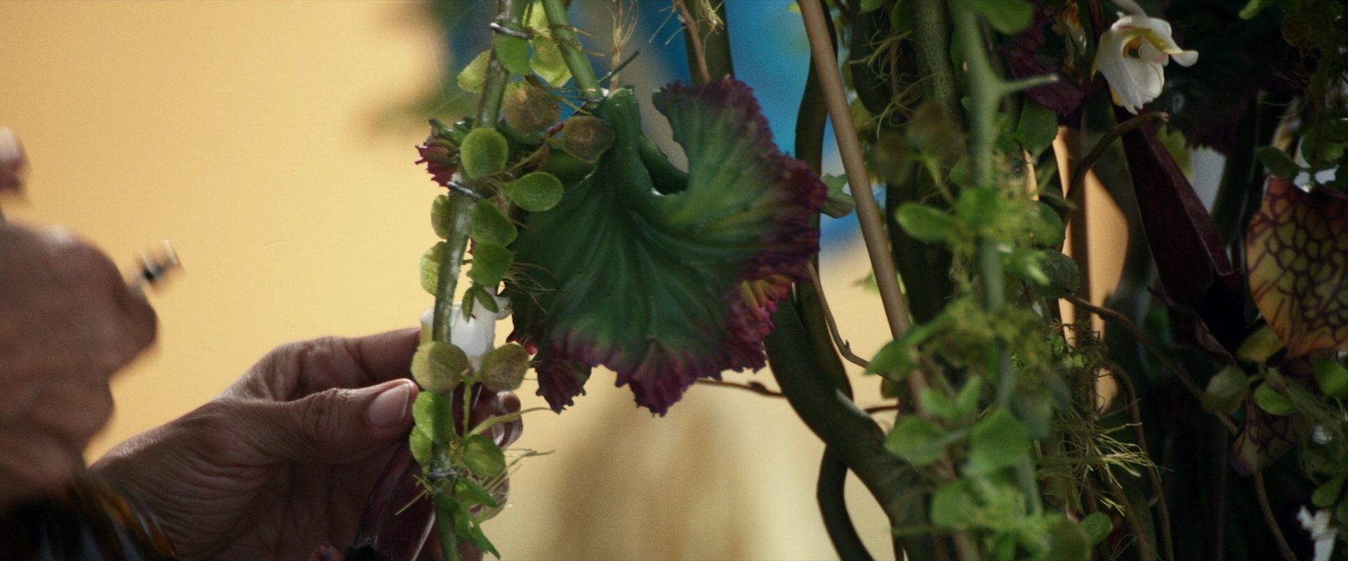 extant_StarTrek_PIC_1x03-TheEndIsTheBeginning_0917.jpg