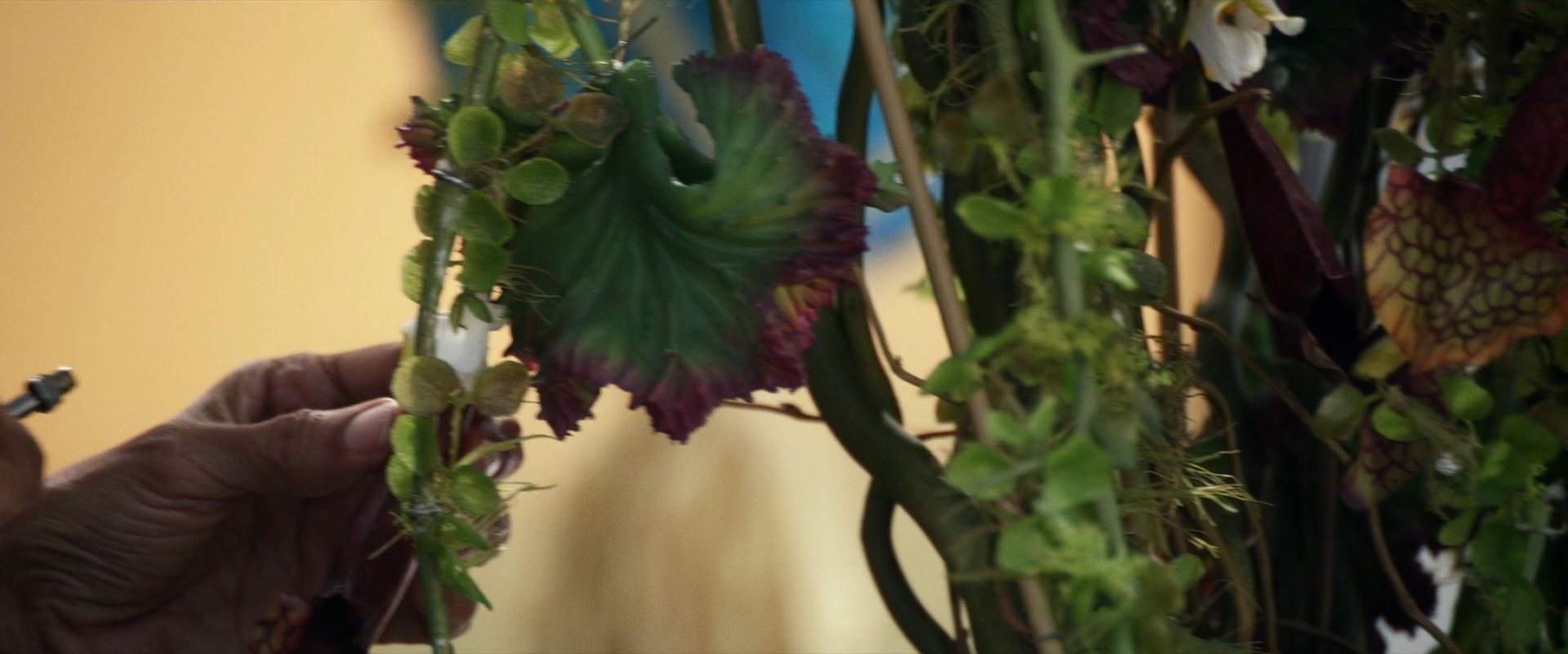 extant_StarTrek_PIC_1x03-TheEndIsTheBeginning_0918.jpg