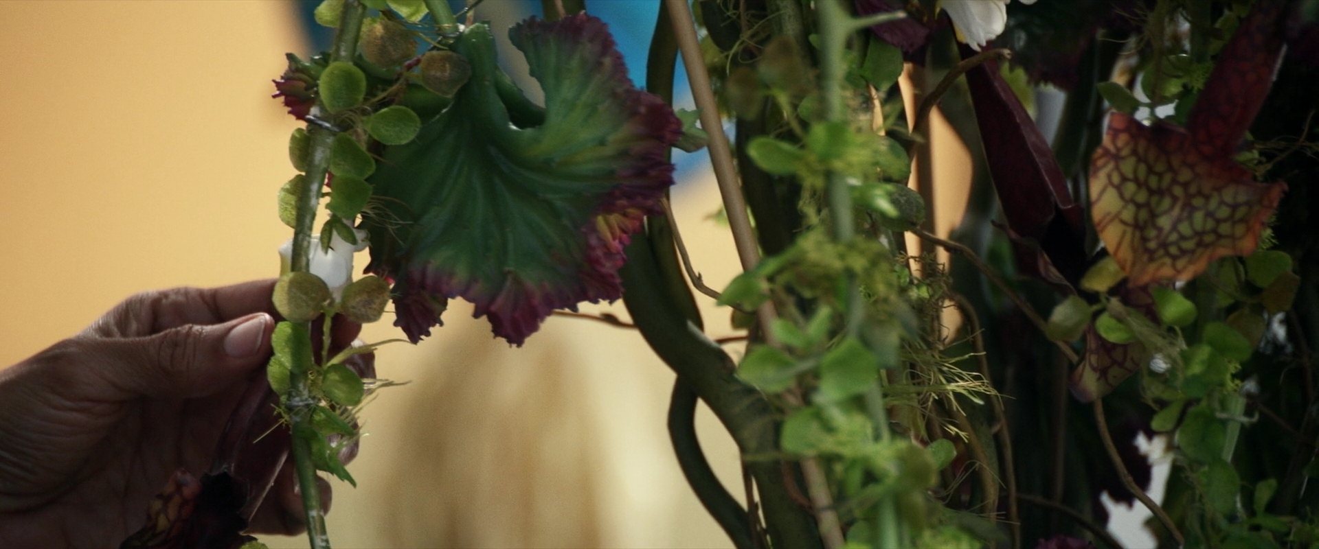 extant_StarTrek_PIC_1x03-TheEndIsTheBeginning_0919.jpg