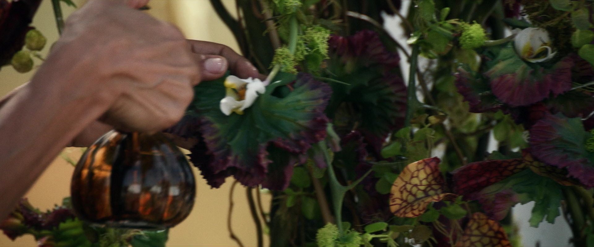 extant_StarTrek_PIC_1x03-TheEndIsTheBeginning_0929.jpg