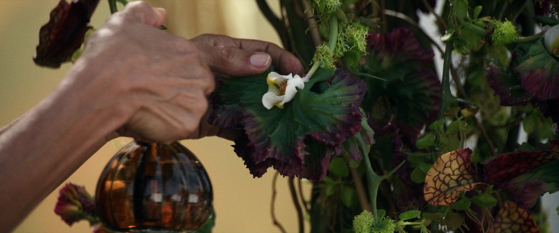 extant_StarTrek_PIC_1x03-TheEndIsTheBeginning_0931.jpg